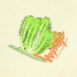 Stüssy DESERT BLOOM TEE 7 Stüssy DESERT BLOOM TEE -NIke Shop 6510e2087eceb6de6dce24474bd752b1