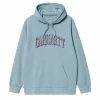 Carhartt WIP HOODED SCRAWL SWEAT -NIke Shop CarharttWIP HOODEDSCRAWLSWEATMISTYSKYCORVINALI030942 16X XX 1