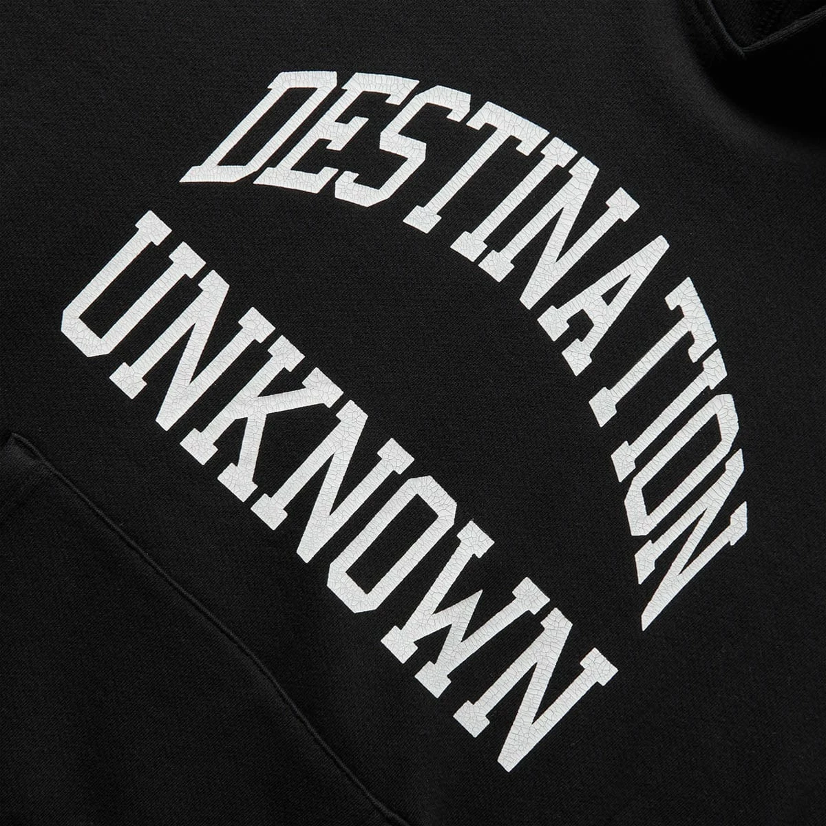 Liberaiders HEAVY WEIGHT COLLEGE PRINT HOODIE 4 Liberaiders HEAVY WEIGHT COLLEGE PRINT HOODIE - Image 2