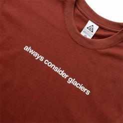 NIKE ACG TEE 10 NIKE ACG TEE -NIke Shop nikeACGTEEOXENBROWNSDV9625 217 4