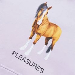 Pleasures DEATH HOODIE -NIke Shop pleasuresDEATHHOODIELAVENDERSP22F049 3