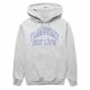 Pleasures FLAMBOYANT HOODIE -NIke Shop pleasuresFLAMBOYANTHOODYHEATHERGREYSP22F067 1