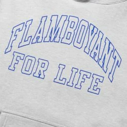 Pleasures FLAMBOYANT HOODIE -NIke Shop pleasuresFLAMBOYANTHOODYHEATHERGREYSP22F067 3