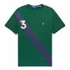 Polo Ralph Lauren ORIGINAL LABEL SASH STRIPE T-SHIRT -NIke Shop poloralphlaurenORIGINALLABELSASHSTRIPET SHIRTNEWFORESTS710900944002 1