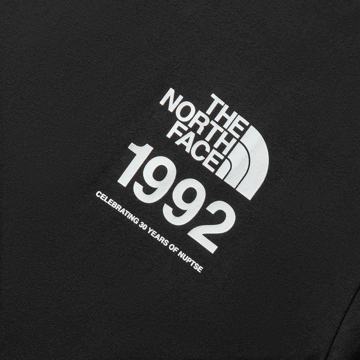 The North Face HEAVYWEIGHT PRINTED TEE 5 The North Face HEAVYWEIGHT PRINTED TEE - Image 3